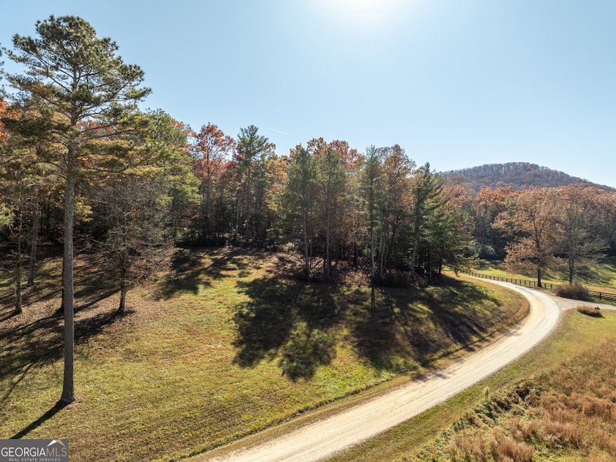 Lot 3 Spring Camp Rd, Ellijay, GA 30536 - photo 1