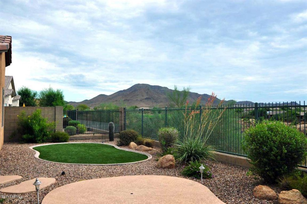 Backyard Views