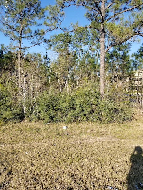 I-10 VIEW