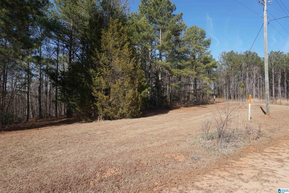 0 County Road 256 unit 1 1309740, Wedowee, AL 36278 - photo 1