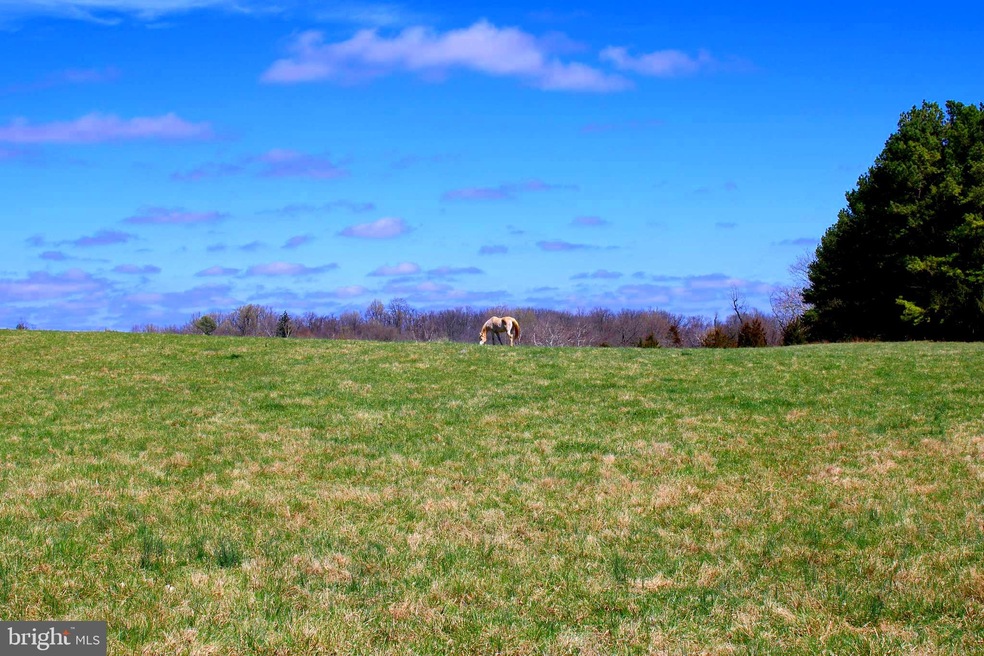37.08 ACRES on Bishop Meade Rd, Boyce, VA 22620 - photo 1