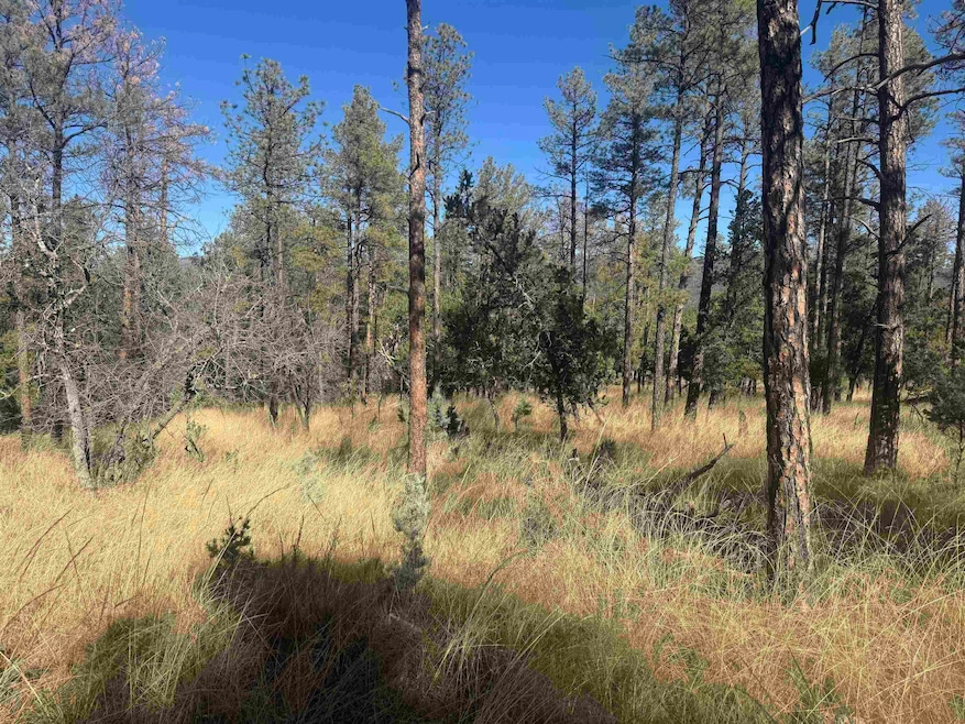 0 Dixwood Dr unit 171905, Timberon, NM 88350 - photo 1