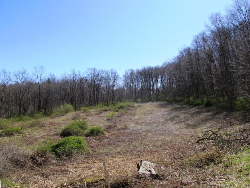 20 Anderson Rd E, Sherman, CT 06784 - photo 1