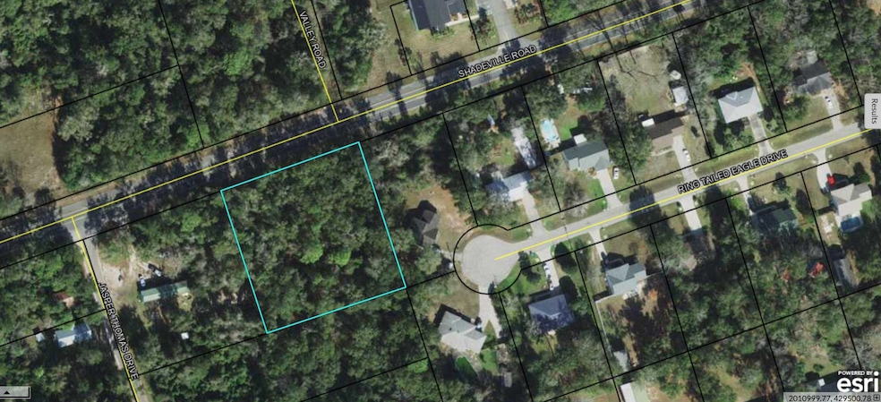 xx Shadeville Rd, Crawfordville, FL 32327 - photo 1