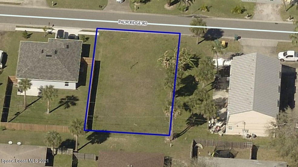 Palm Ridge