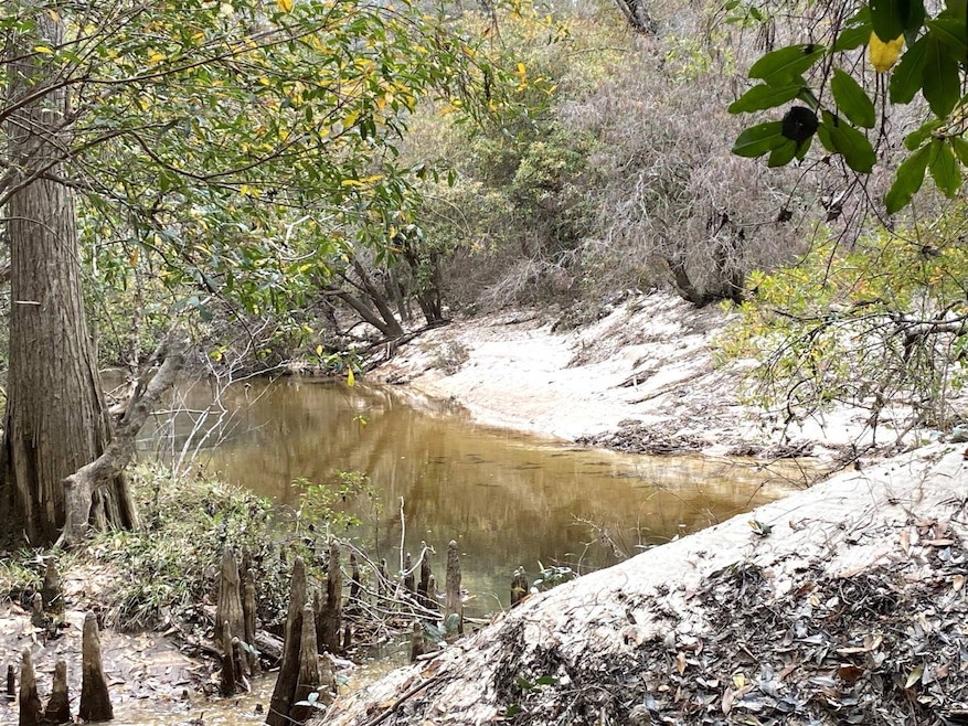 1 Highway 59, Stockton, AL 36579 - photo 1