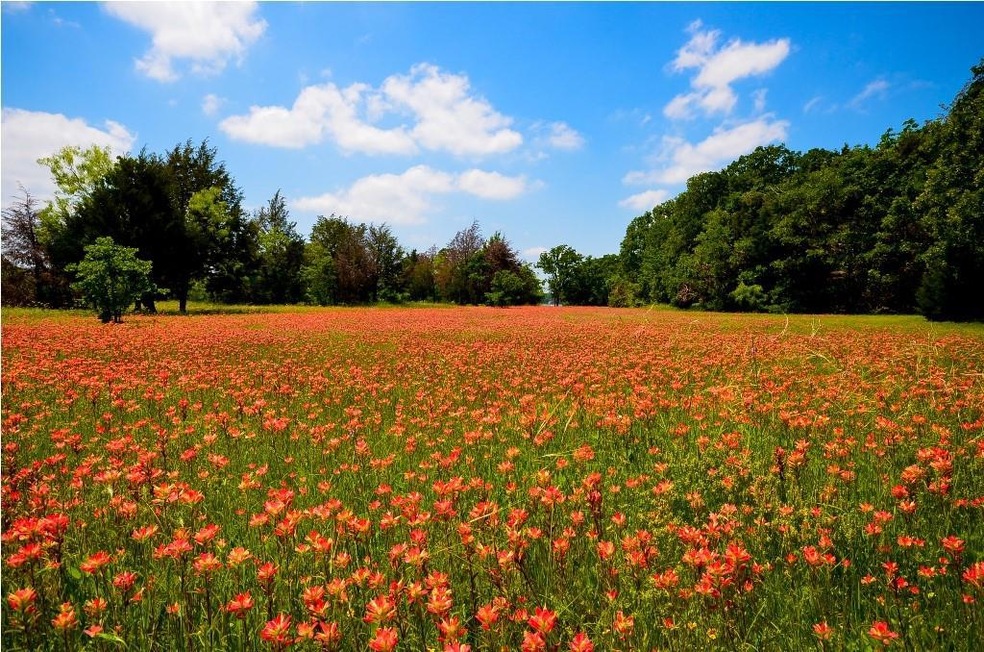 L 359 Deep Water Cove, Corsicana, TX 75109 - photo 1