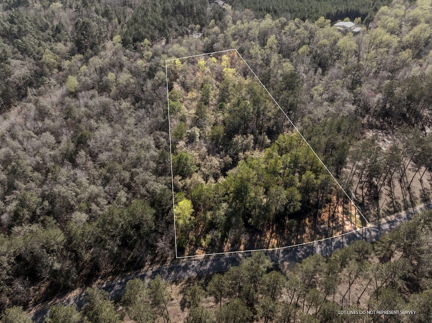 00_Progress_Trail_Lot_2-1
