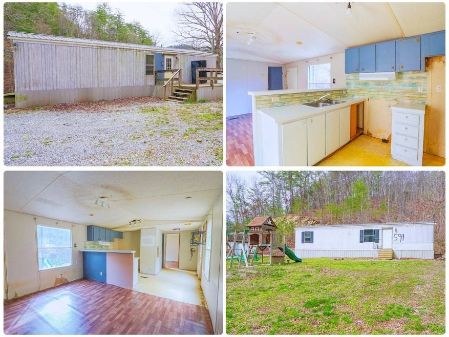 591 Cane Creek Mountain Rd, Tellico Plains, TN 37385 - photo 1