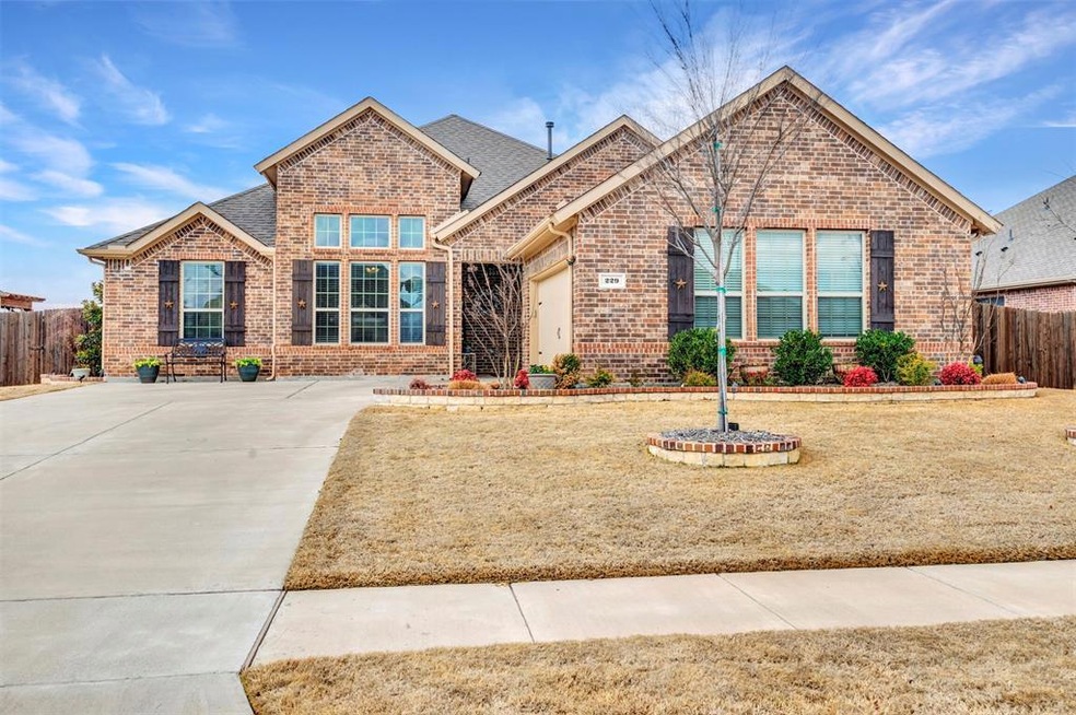 229 Duck Blind Ave, Wylie, TX 75098 - photo 1