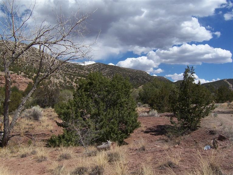 0 Camino Mesteno Tract 5 unit 758518, Placitas, NM 87043 - photo 1