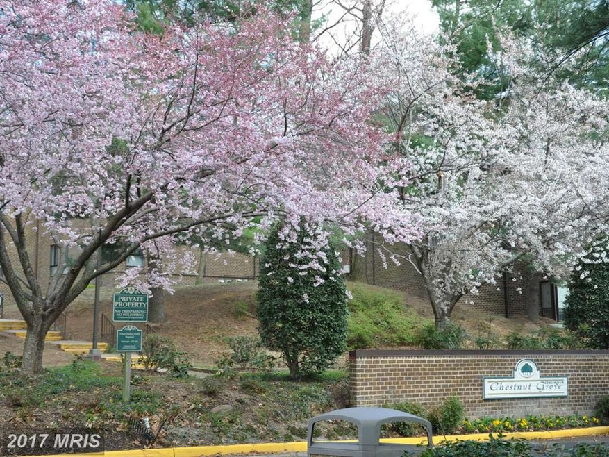 11224 Chestnut Grv Square unit 228, Reston, VA 20190 - photo 1
