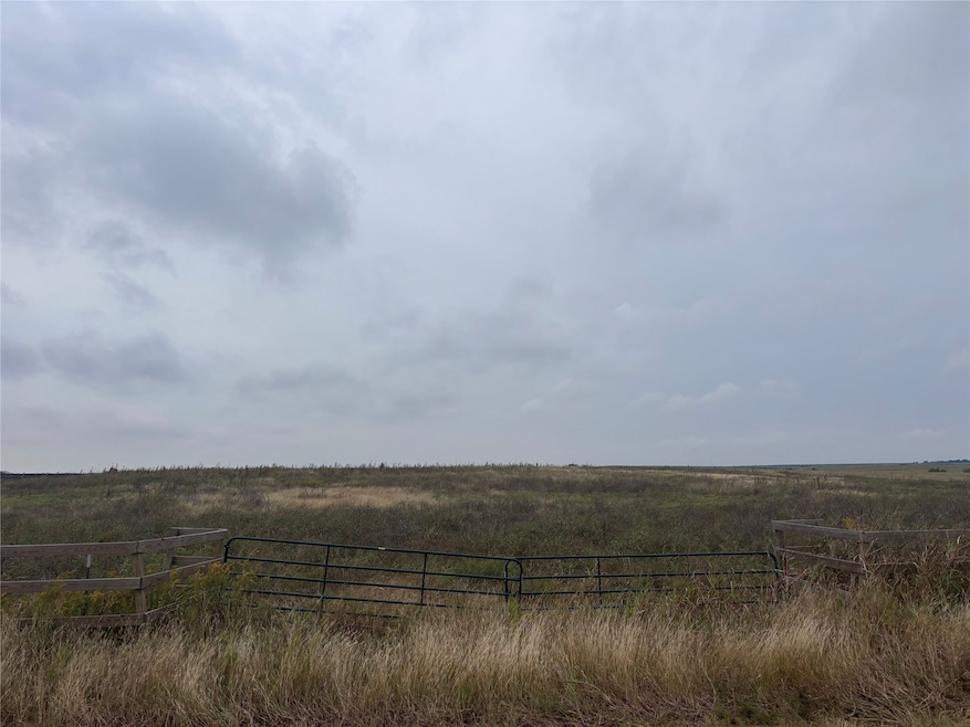 TBD County Road 3220, Penelope, TX 76676 - photo 1