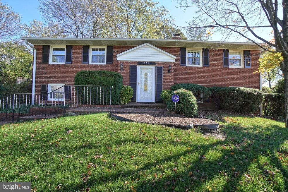 12521 Waldo Ln, Silver Spring, MD 20904 - photo 1