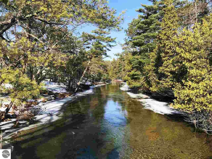The Crystal River as it runs behind the Wilderness