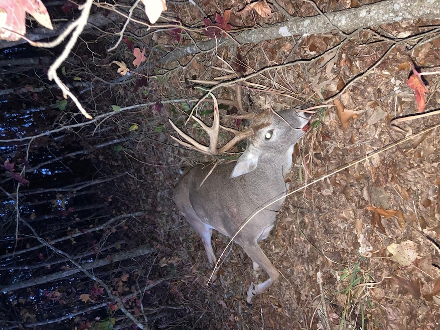 World Horse Trail, Broken Bow, OK 74957 - photo 1