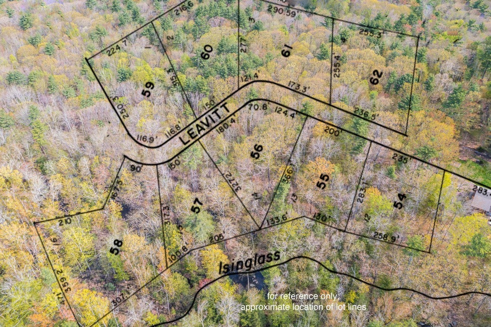 00 Leavitt Ln, Strafford, NH 03884 - photo 1