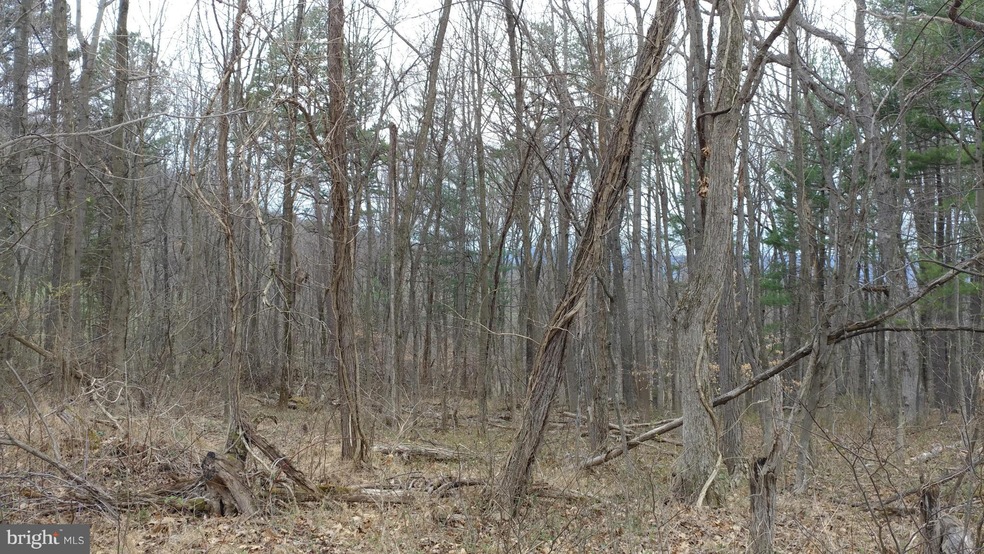 0 Shangri-La Rd unit 1000196351, Bentonville, VA 22610 - photo 1