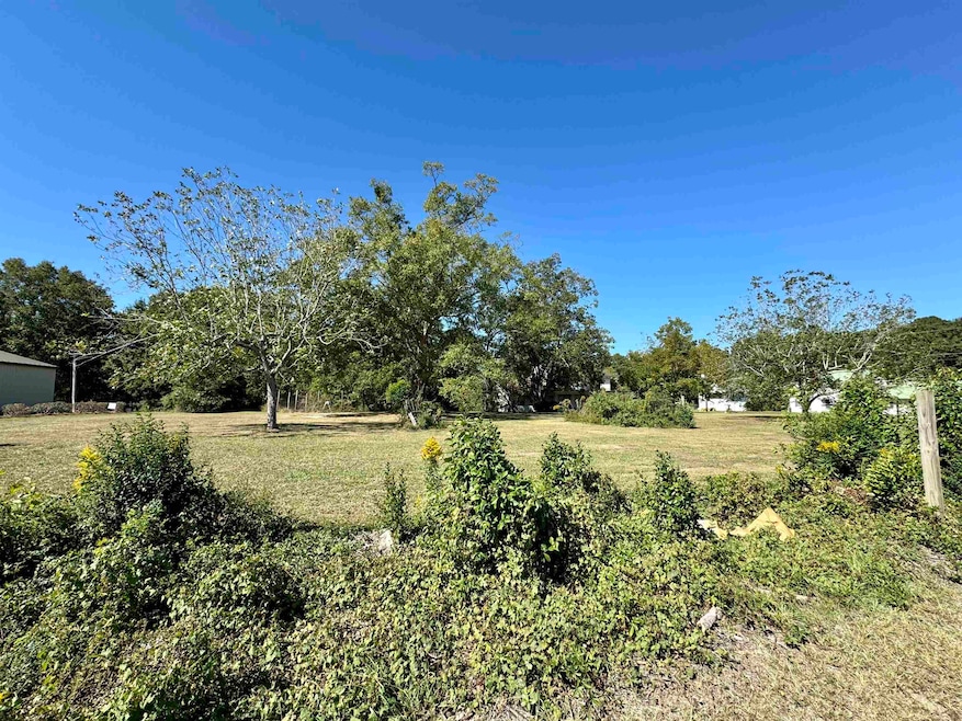 103 W Paulk Ave, Opp, AL 36467 - photo 1