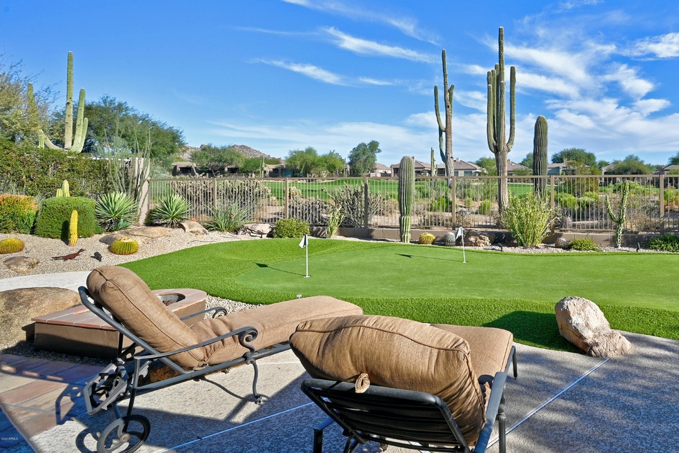 View from Back Yard