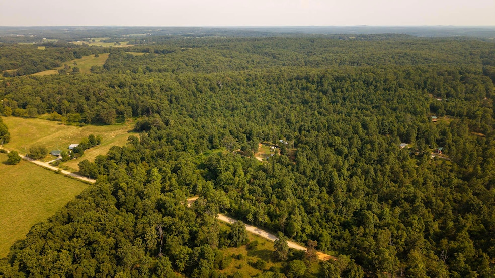 12078 Nevill Rd, Clinton Township, MO 65711 - photo 1