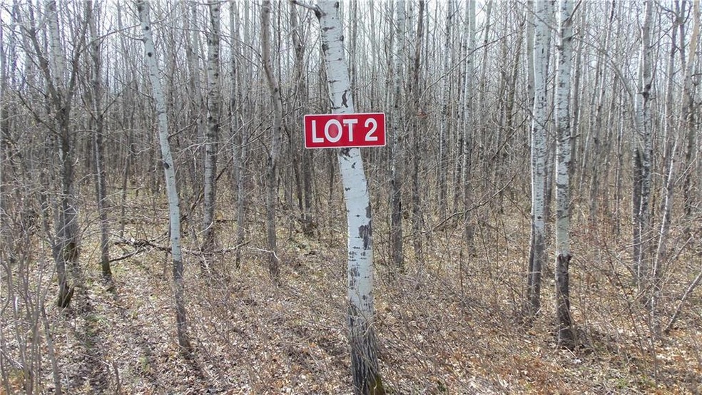 Lot 2 Minerva Dam Rd, Swiss, WI 54830 - photo 1