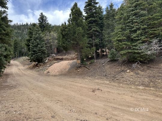 Road view and driveway