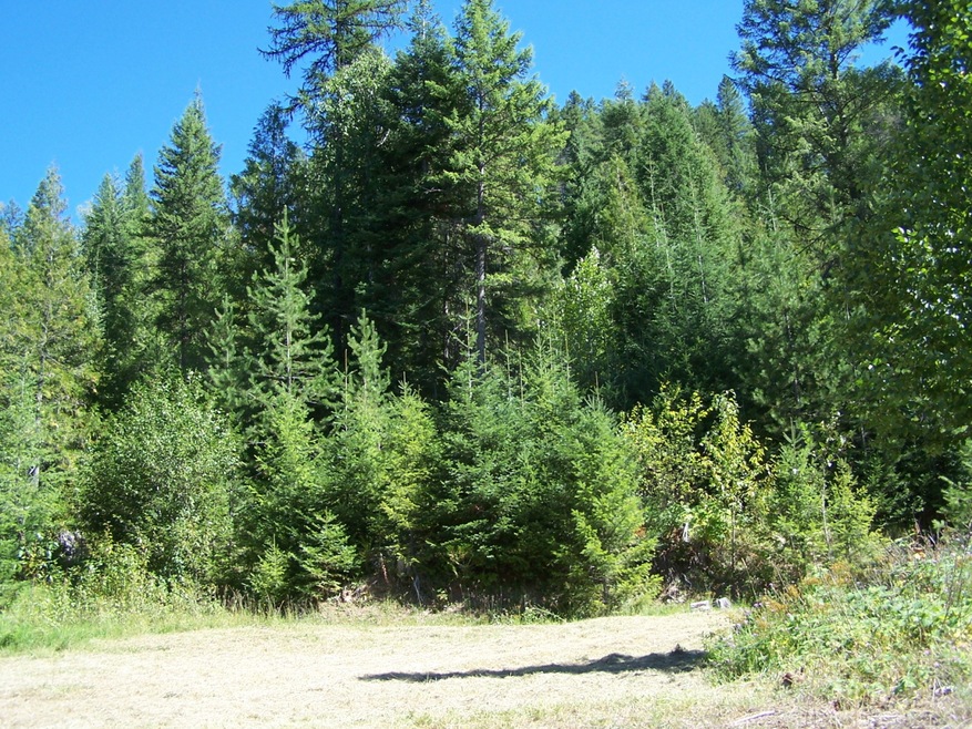 Main entrance to property