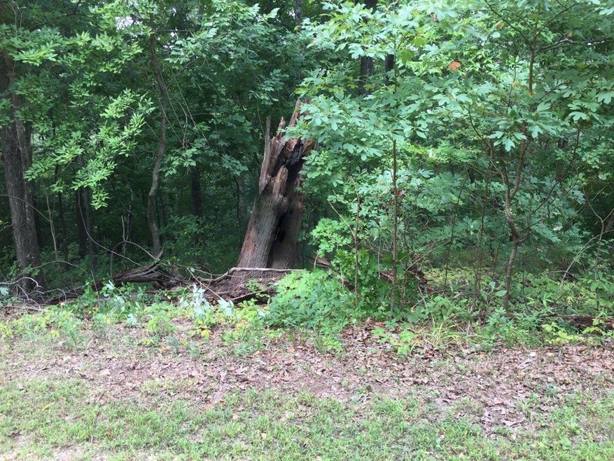 Lot 92 Maltby Ln, Bella Vista, AR 72715 - photo 1