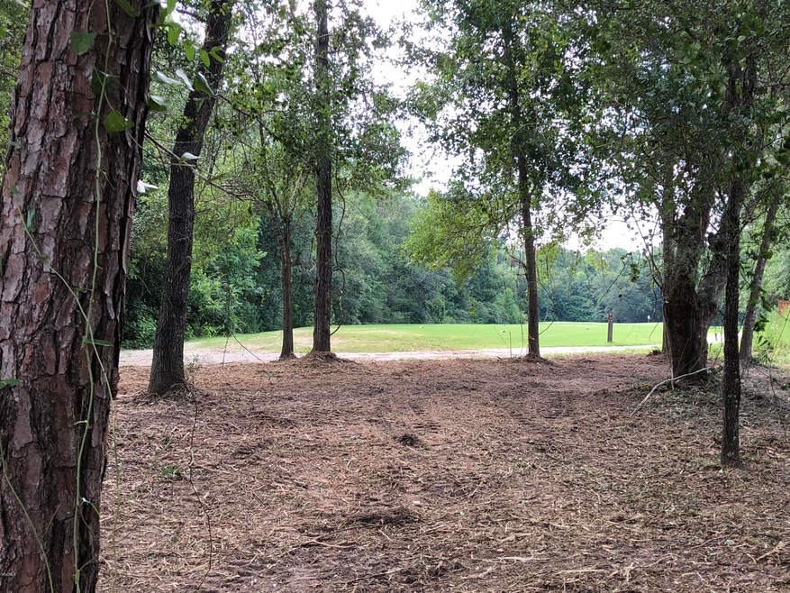 View to Golf Course