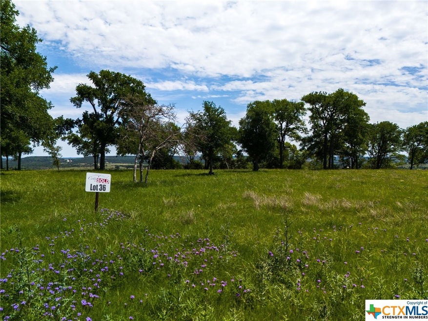 TBD Cottonwood Mesa Dr, Kempner, TX 76539 - photo 1