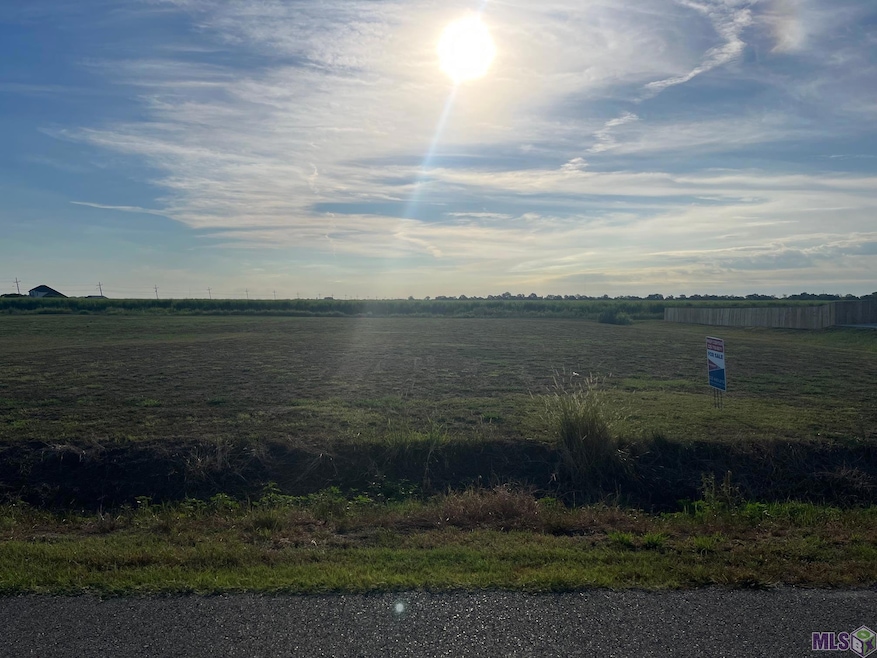 403 Harvest Ln, Port Allen, LA 70767 - photo 1