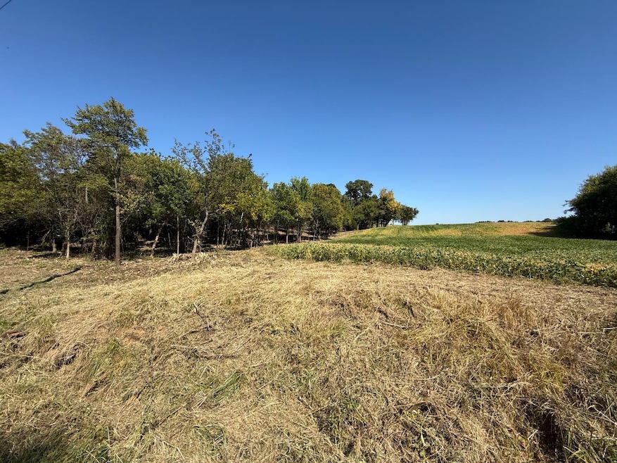 1 Bentley Rd, Saint Leon, IN 47012 - photo 1