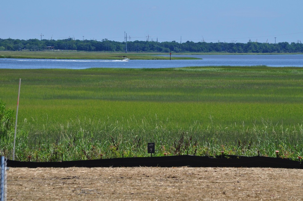 Ashley River