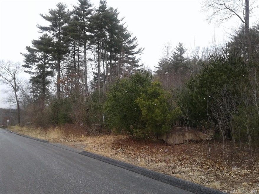 Road Frontage 173.34ft