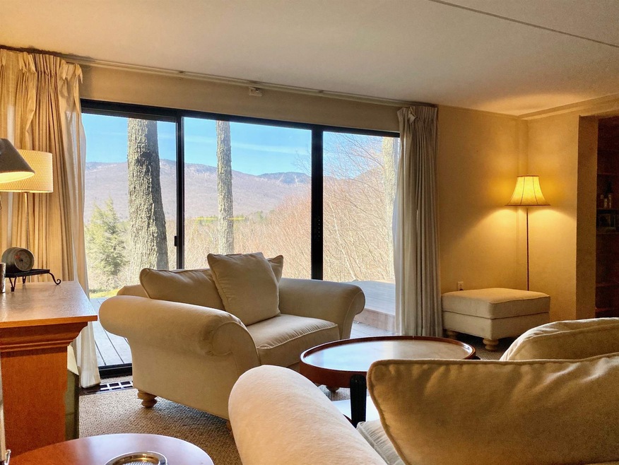 1309 Notchbrook Rd unit 1 CS, Stowe, VT 05672 - photo 1