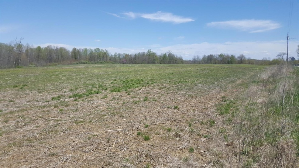 24100 Stipps Hill Rd, Laurel, IN 47024 - photo 1