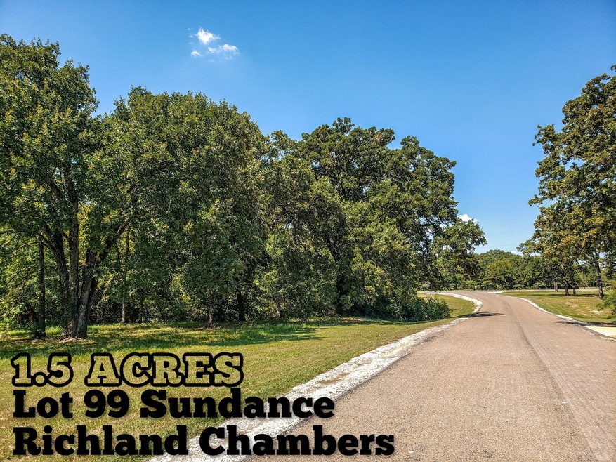 Lot 99 Sundance, Corsicana, TX 75109 - photo 1
