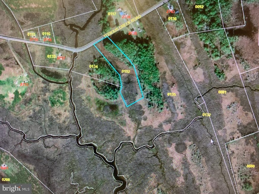 0 Goose Creek Tedius Creek Rd unit MDDO127230, Toddville, MD 21672 - photo 1