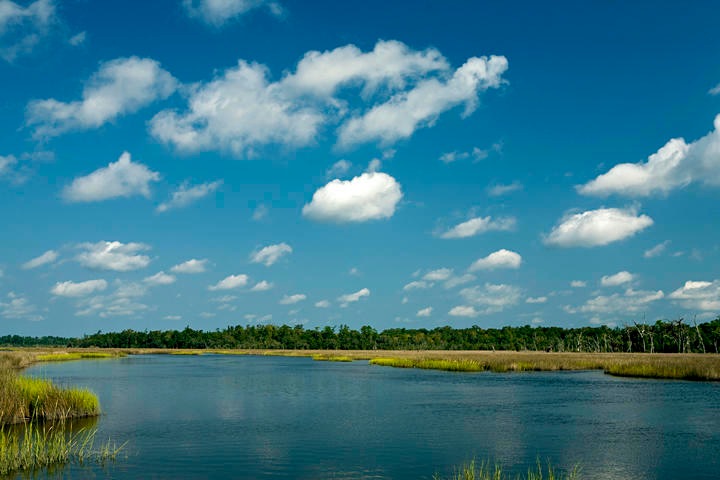 Rantowles Creek