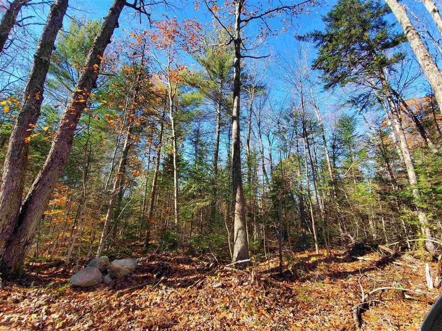 00 Phelps Rd, Springfield, NH 03284 - photo 1