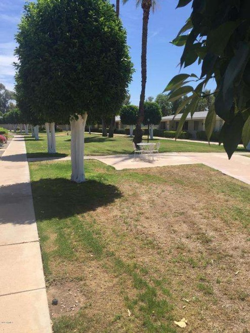 Front Lawn Area