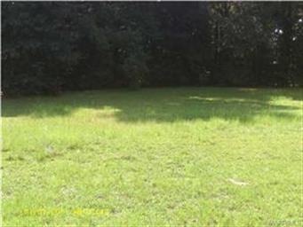 Front of lot