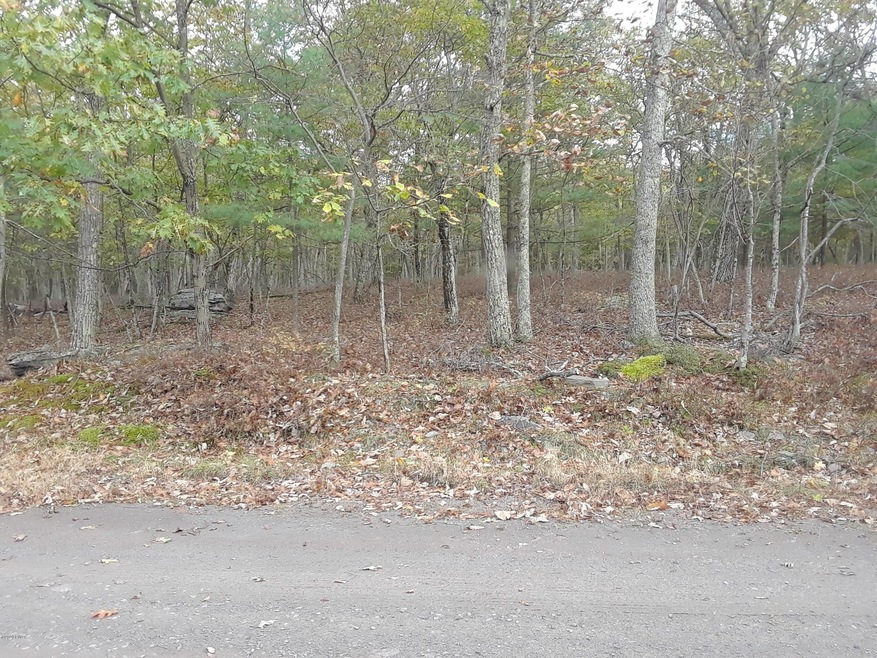 145 & 146 Mountain Top Rd, Lackawaxen Township, PA 18435 - photo 1