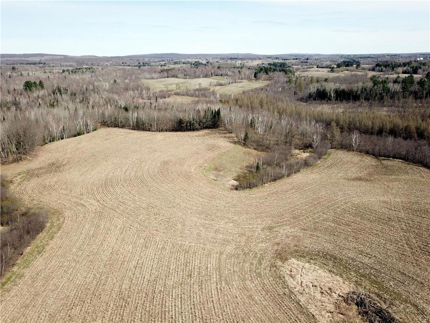 60 Acres Olesiak Rd, Weyerhaeuser, WI 54895 - photo 1