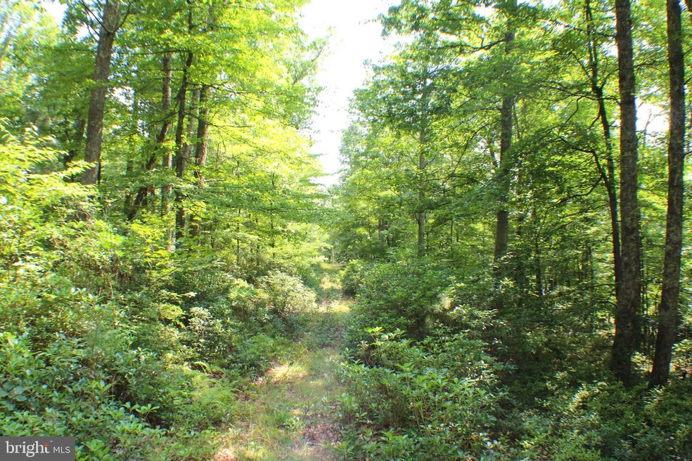 15.44 Acres High Knob Rd, Old Fields, WV 26845 - photo 1