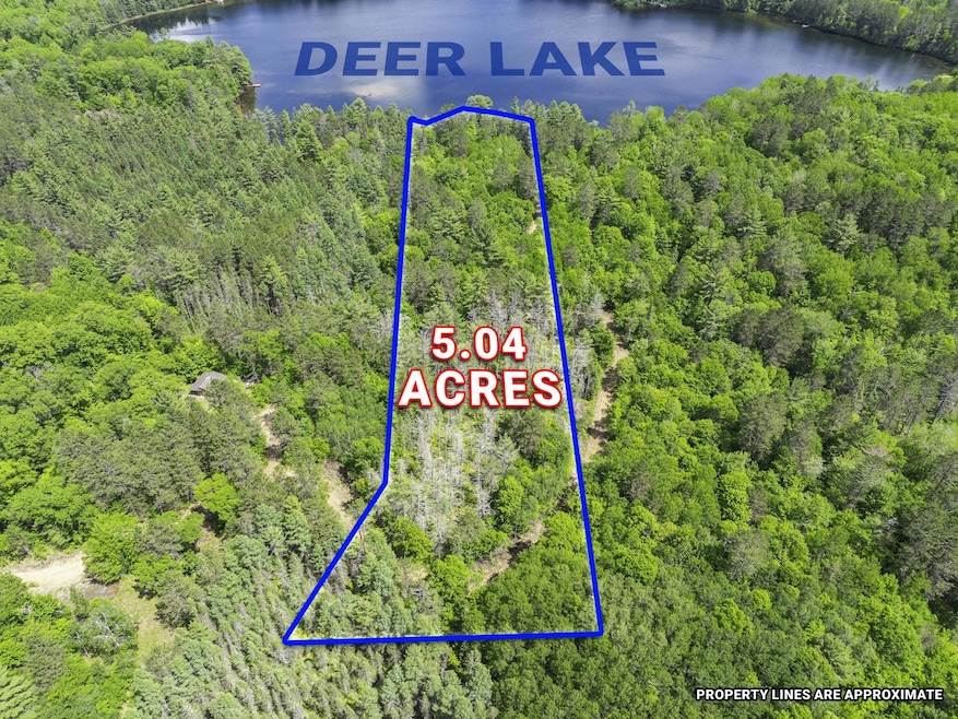 Lot 2 Donlo Ln, Conover, WI 54519 - photo 1
