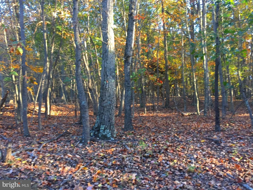 0 Cardinal View Rd unit 1003658583, Augusta, WV 26704 - photo 1