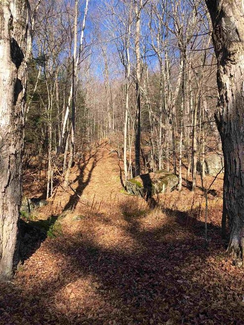 25 Phelps Ln unit Tax map – map 9 parc, Readsboro, VT 05350 - photo 1