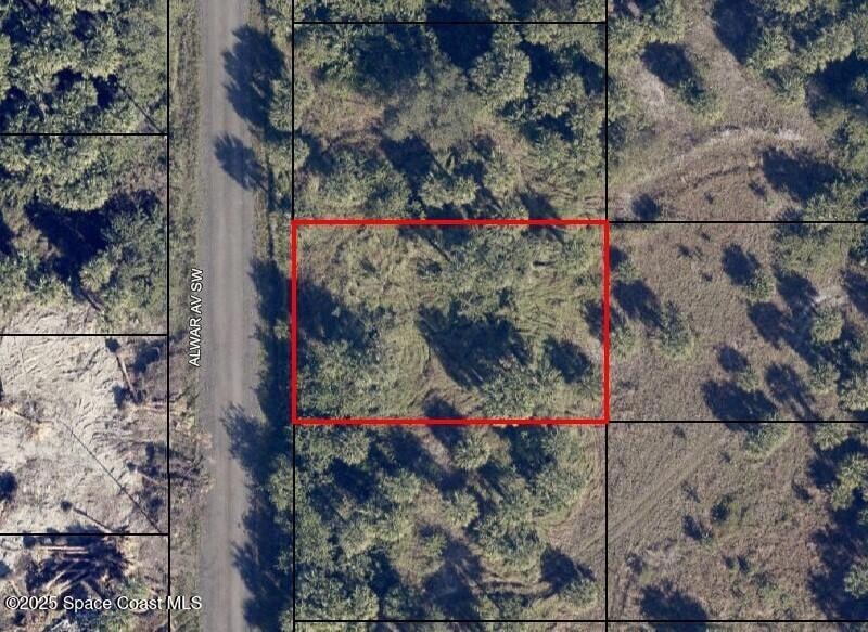 2135 Alwar Ave, Palm Bay, FL 32908 - photo 1